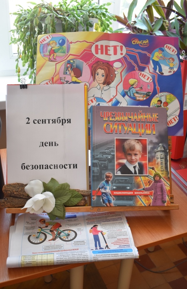 Выставка в школьной библиотеке гимназии.