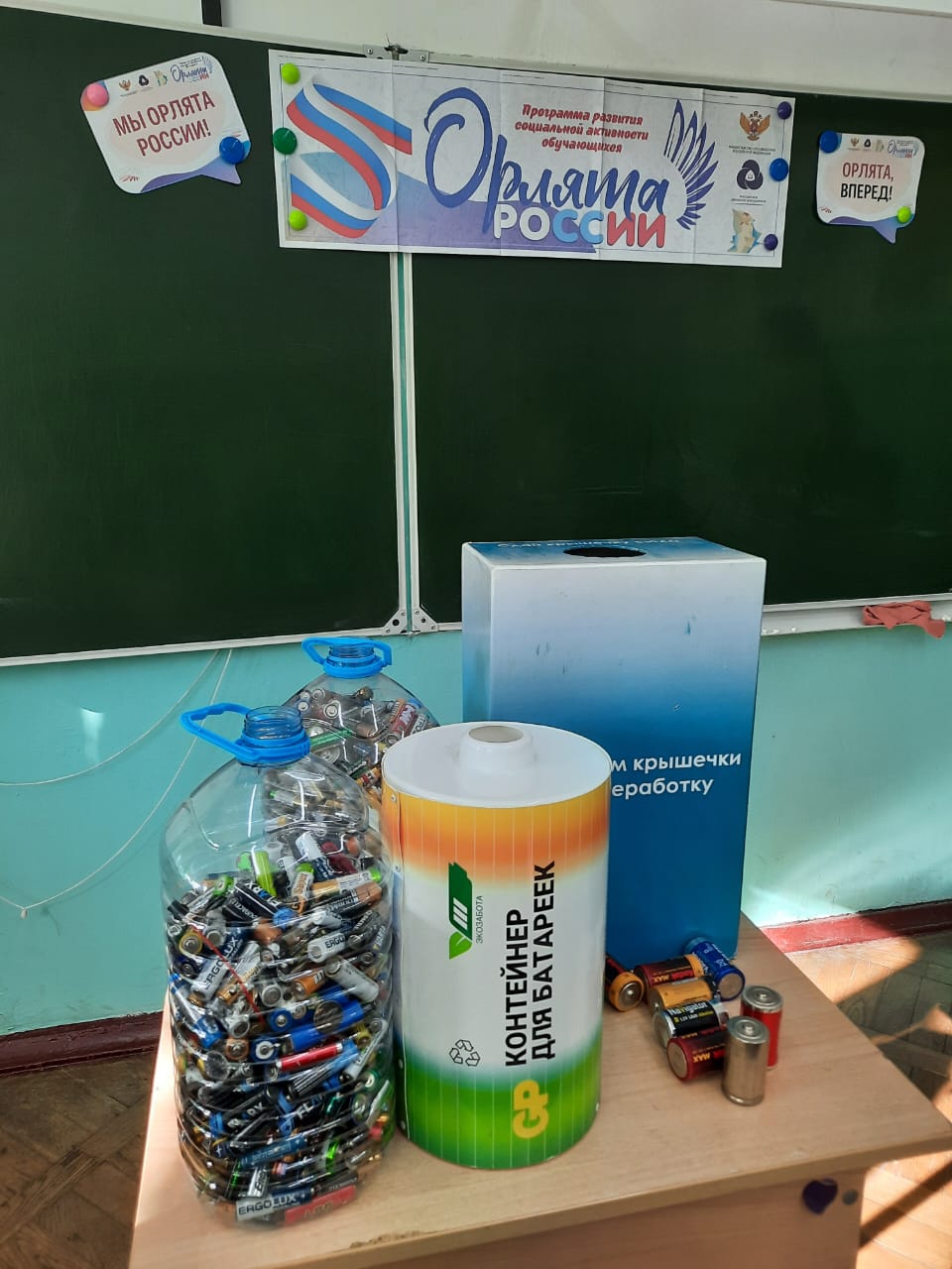 Волонтеры гимназии помогли представить экологический проект "Сдай батарейку- сохрани экологию"