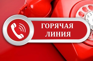 Картинка "Телефон горячей линии".